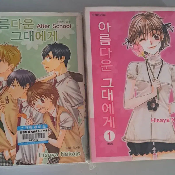 [BUNJANG] Hana Kimi Complete Set Vol. 1-2 Manga / 만화책 아름다운 그대에게 2권일괄