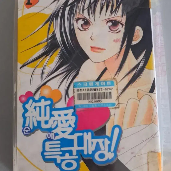 [BUNJANG] Sun-ae Special Attack Team Complete Set Volumes 1-13 Manga / 만화책 순애 특공대장 1~13권 일괄