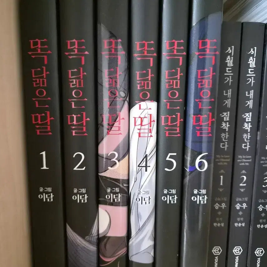 [BUNJANG] Ddakdam-eun Ttal (My Daughter, My Clone) Vol. 1-6 Bundle Set / 똑닮은 딸 1~6권 일괄 판매 (박스O, 단행본만O)