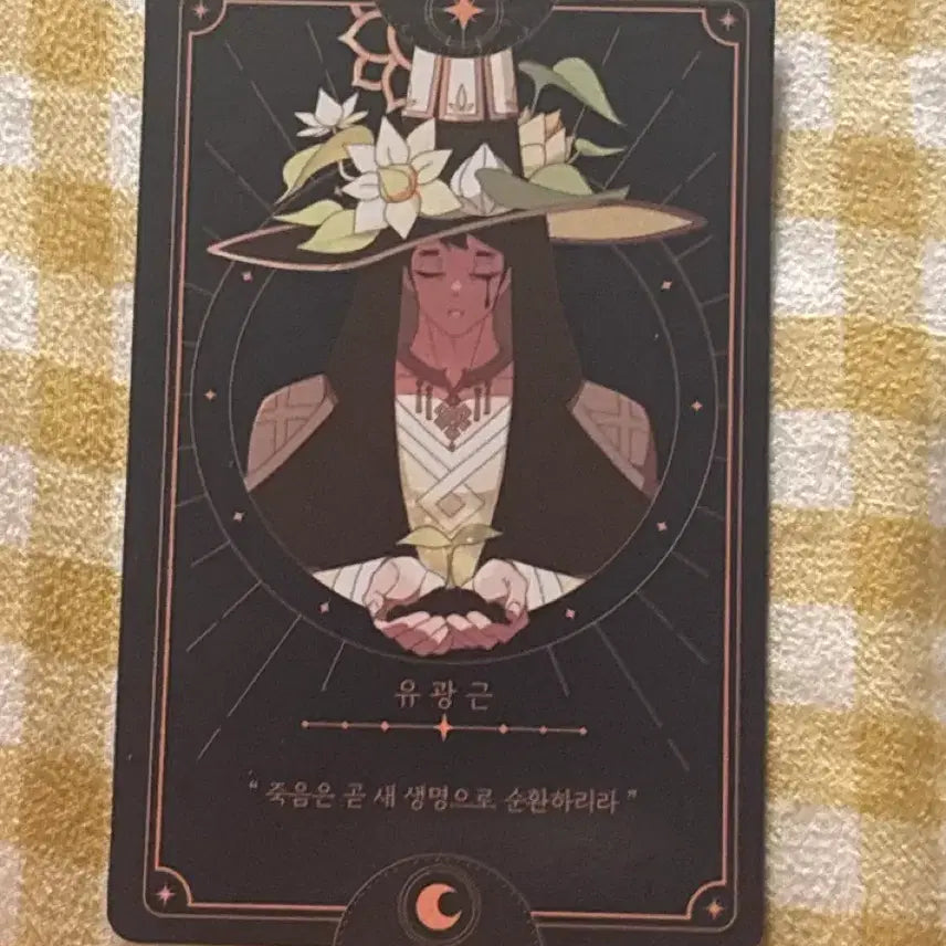 [BUNJANG] Zombie Go Magic Go Card Deck Yu Gwanggeun / 좀비고 마법고 카드덱 유광근