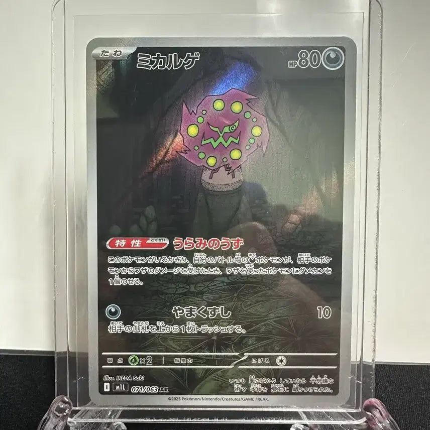 [BUNJANG] Pokemon Card Barbaracle AR Japanese / 포켓몬카드 화강돌AR 일판