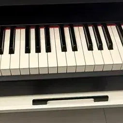 [BUNJANG] M-Audio Hammer 88-Key Master Keyboard / 엠 오디오 헤머 (마스터 키보드 88건반)