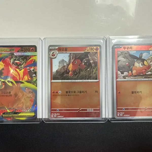 [BUNJANG] Pokemon Card Deck Set - Torkoal / Chimchar / Mega Charizard EX / 포켓몬카드 뚜꾸리 / 차오꿀 / 메가염무왕ex