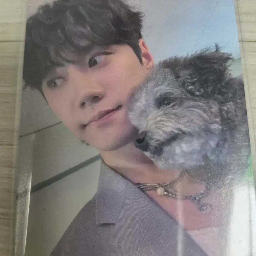 [BUNJANG] Lee Junyoung J.J.Y. Music POB Photocard / 이준영 제제뮤 포카(미공포) 양도
