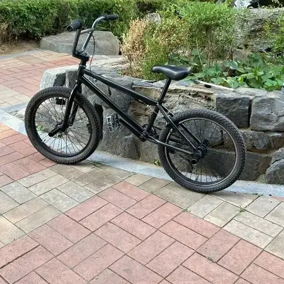 [BUNJANG] BMX Bicycle - Black / BMX 자전거 블랙 (어그로 X)