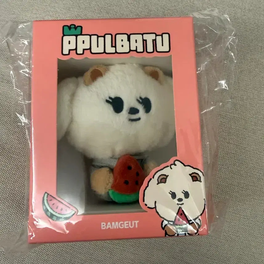 [BUNJANG] TXT Beomgyu 'Night Gaze' Japan Watermelon Keychain (Sealed) / 뿔바투 txt 투바투 범규 밤긋이 일본수박키링 미개봉 양도