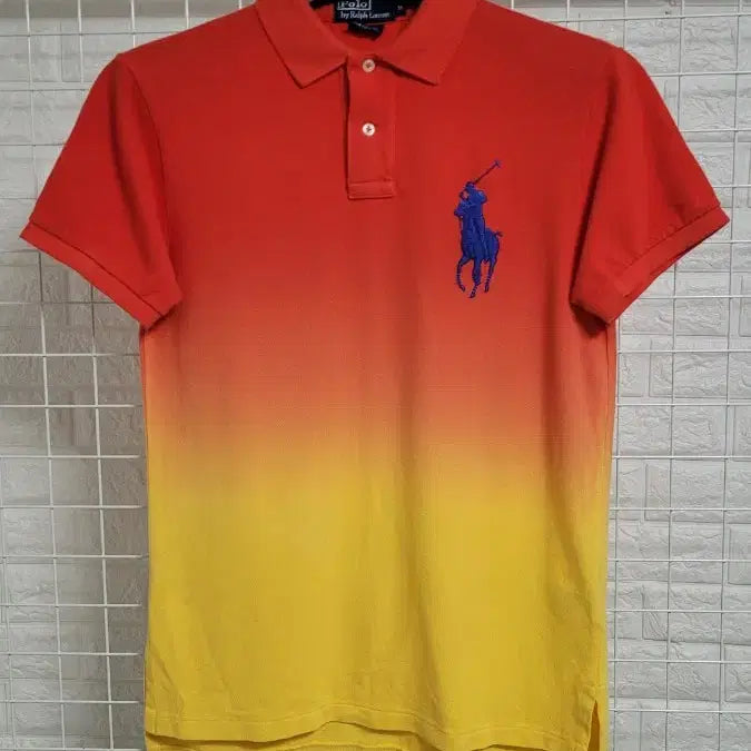 [BUNJANG] Polo Ralph Lauren Premium Ombre Gradient Big Pony Pique Polo Shirt / [M]폴로랄프로렌 프리미엄 옴브레 그라데이션 빅포니 피케셔츠반퍈티