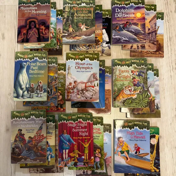 [BUNJANG] Magic Tree House Series, Warriors Series, Fantastic Mr. Fox English Books Bundle / 마법의 시간여행(Magic Tree House) 시리즈 영어 원서 판매합니다.