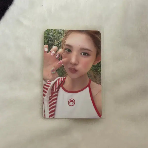 [BUNJANG] Hats to Hearts AINA Photocard / 하투하 레몬탱 포카 앨포 하츠투하츠 에이나 포카 앨범