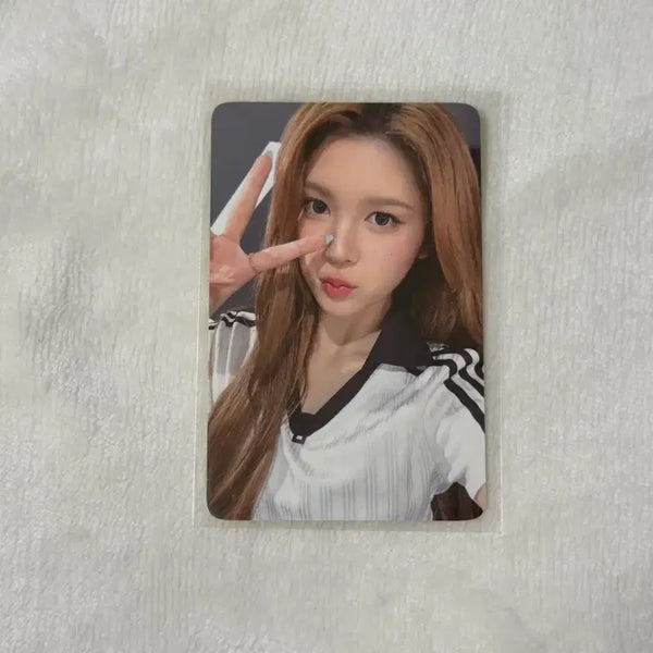 [BUNJANG] Hats to Hearts ENA Everline Lucky Draw Photocard / 하투하 레몬탱 포카 미공포 하츠투하츠 에이나 에버라인 럭드 미공포