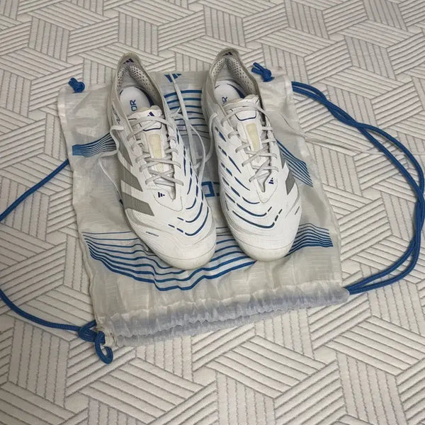 [BUNJANG] Adidas Predator Elite AG 270 Football Boots / 아디다스 프레데터 AG 270