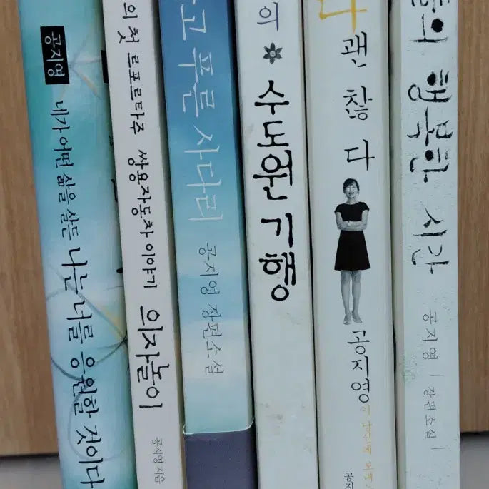 [BUNJANG] Gong Ji-young Novel Collection (6 Books) / 공지영 소설 합,6권 일괄 팝니다