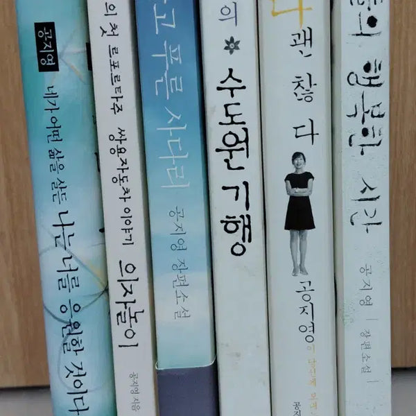[BUNJANG] Gong Ji-young Novel Collection (6 Books) / 공지영 소설 합,6권 일괄 팝니다