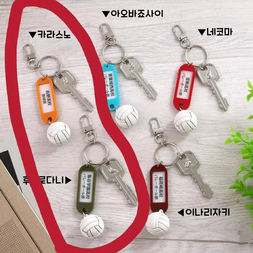 [BUNJANG] Haikyuu! Karasuno & Fukurodani Practice Keychains Bundle Set / 하이큐 부실키링 카라스노 후쿠로다니