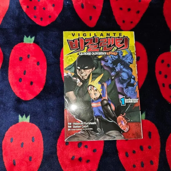 [BUNJANG] Vigilante Photocard / 비질랜티1
