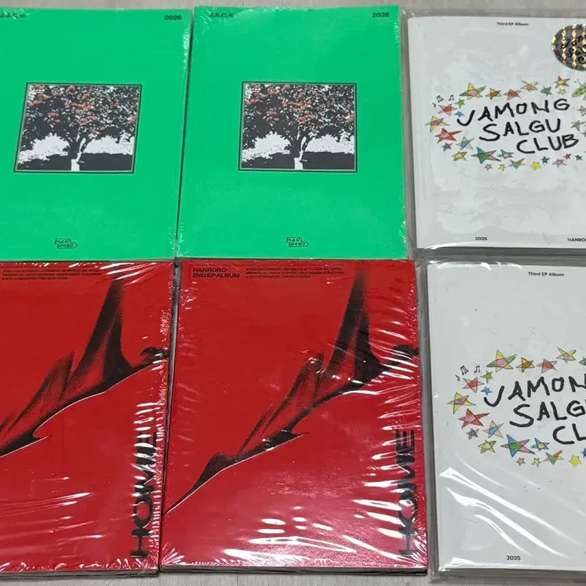 [BUNJANG] Hanroro 2nd Album "Jamong Salgu Club" Diary Bundle Set / 한로로 다이어리 + ㅈㅣㅂ + 자몽살구클럽