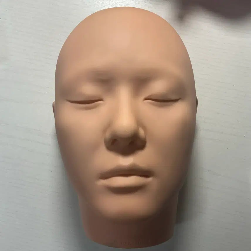 [BUNJANG] Makeup Practice Mannequin Head / 메이크업 연습용 마네킹 헤드