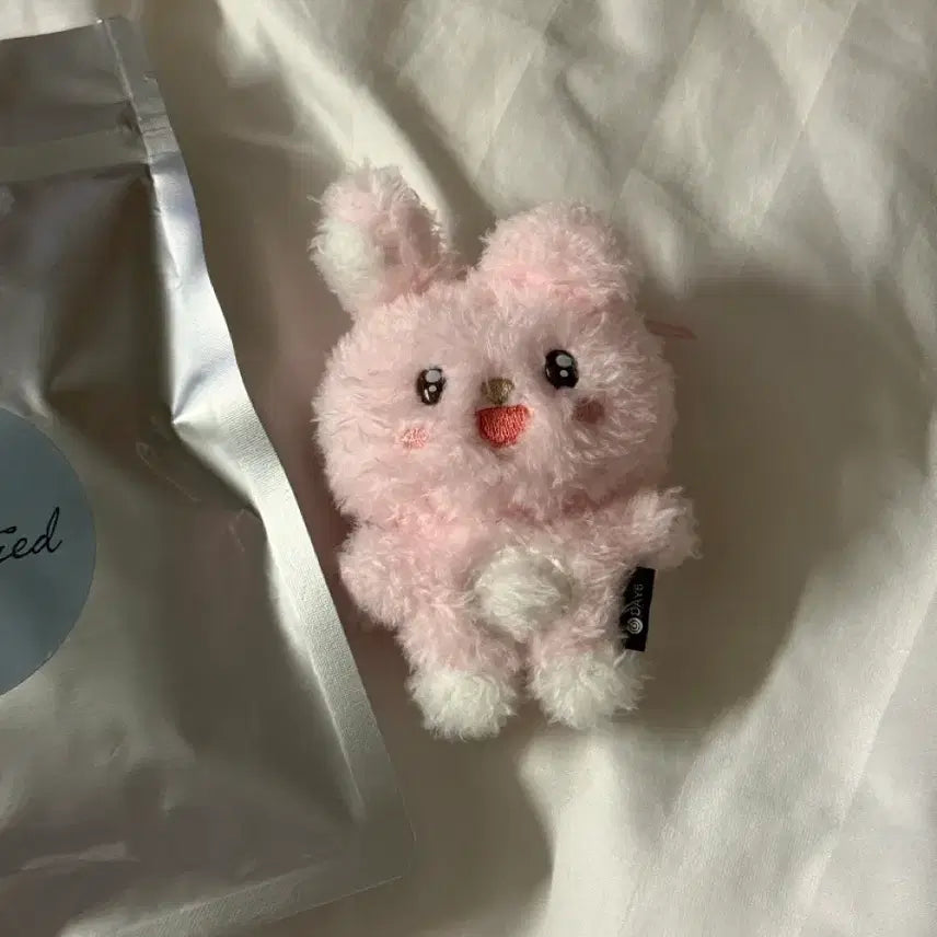 [BUNJANG] DAY6 Wonpil Unfiltered Secret Mini Plush Keychain / [원가양도] 원필 언필터드 시크릿 키링 초롱필
