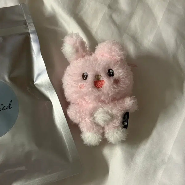 [BUNJANG] DAY6 Wonpil Unfiltered Secret Mini Plush Keychain / [원가양도] 원필 언필터드 시크릿 키링 초롱필