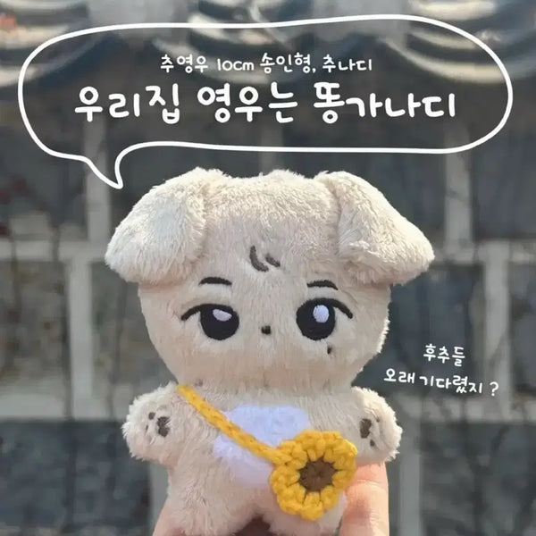 [BUNJANG] Chunadi Doll / 추나디 인형 판매 합니다!