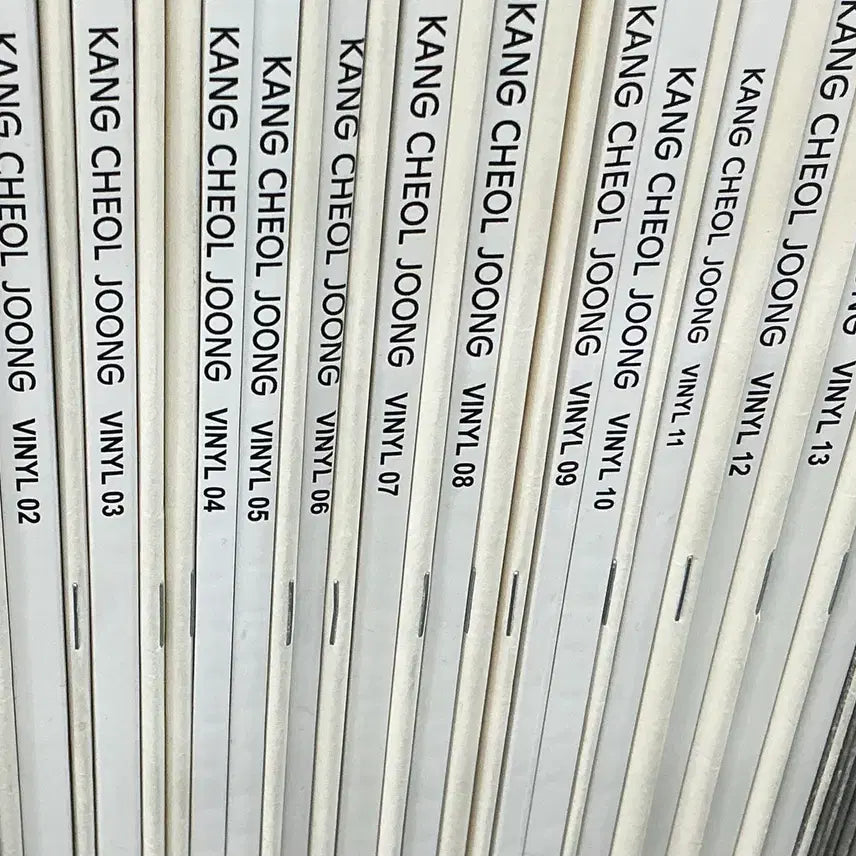 [BUNJANG] 2027 Kang Cheol-jung Vinyl Textbook / 2027 강철중t 바이닐 02-14 판매