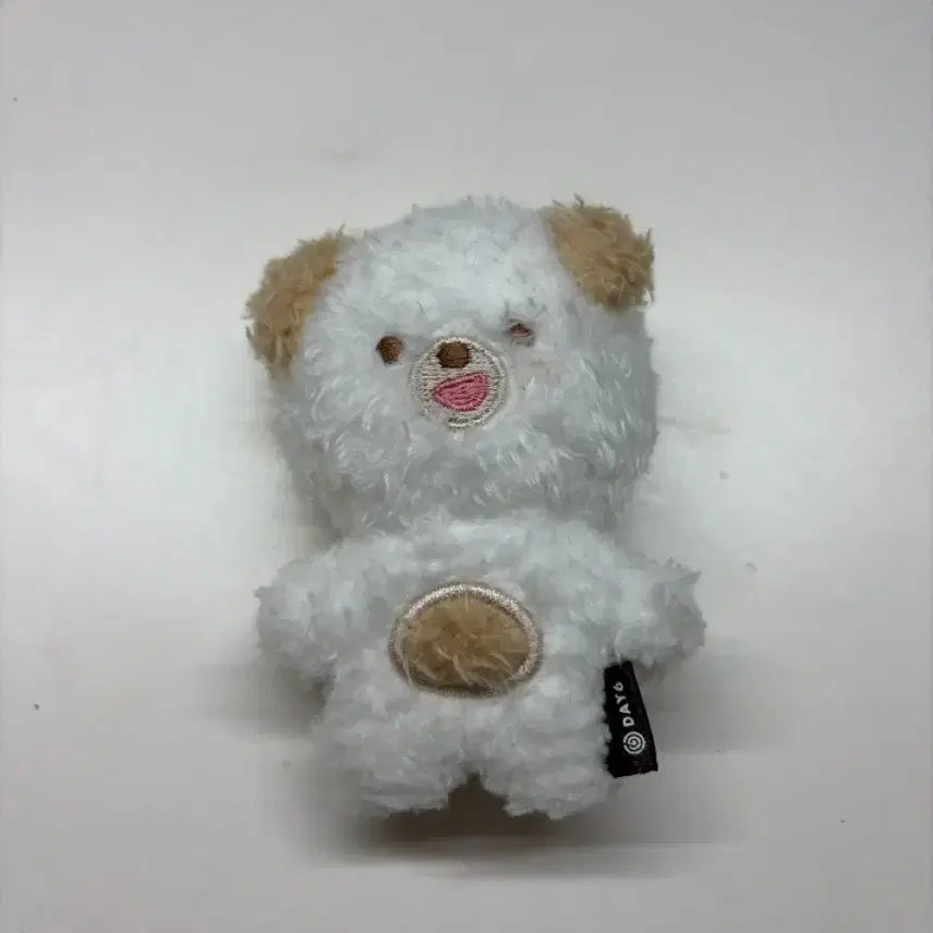 [BUNJANG] PetitMalt Money Magnet Version / 쁘띠멀즈 돈 마그넷 버전 판매합니다