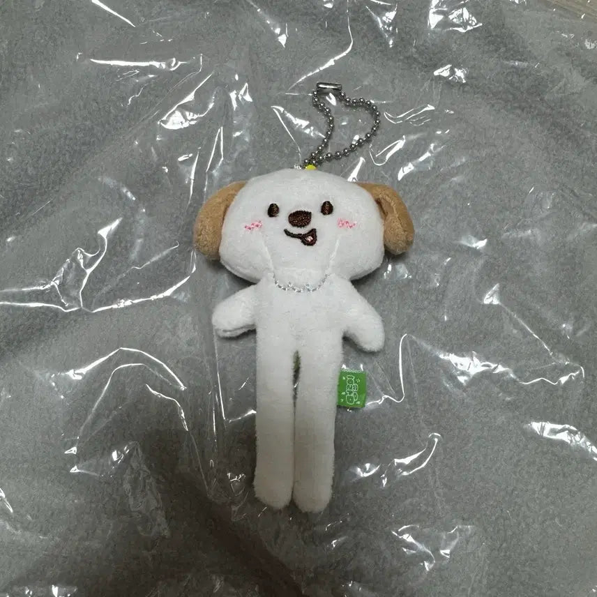 [BUNJANG] RIIZE Anton "Meongryong" Long Leg Plush Doll / 라이즈 앤톤 리라즈 멍룡이 롱다리 인형