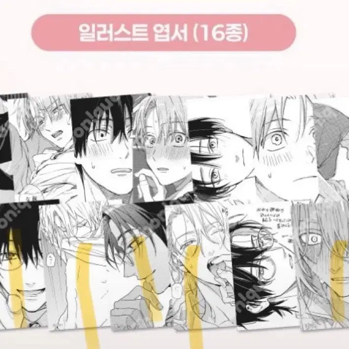 [BUNJANG] Tashiro That Guy Special Edition Postcard Bundle Set / 타시로 너란 녀석은 특전 엽서 일괄