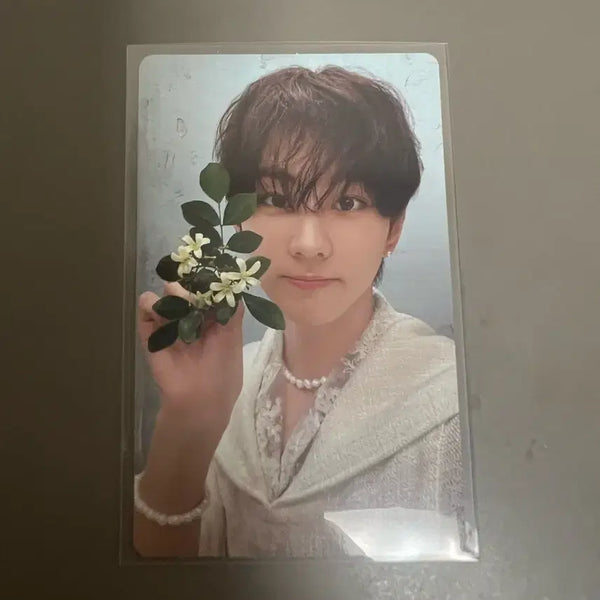 [BUNJANG] ENHYPEN Jungwon Photocard (Obliviare Version) / enhypen 오블칼파 정원포카 jungwon