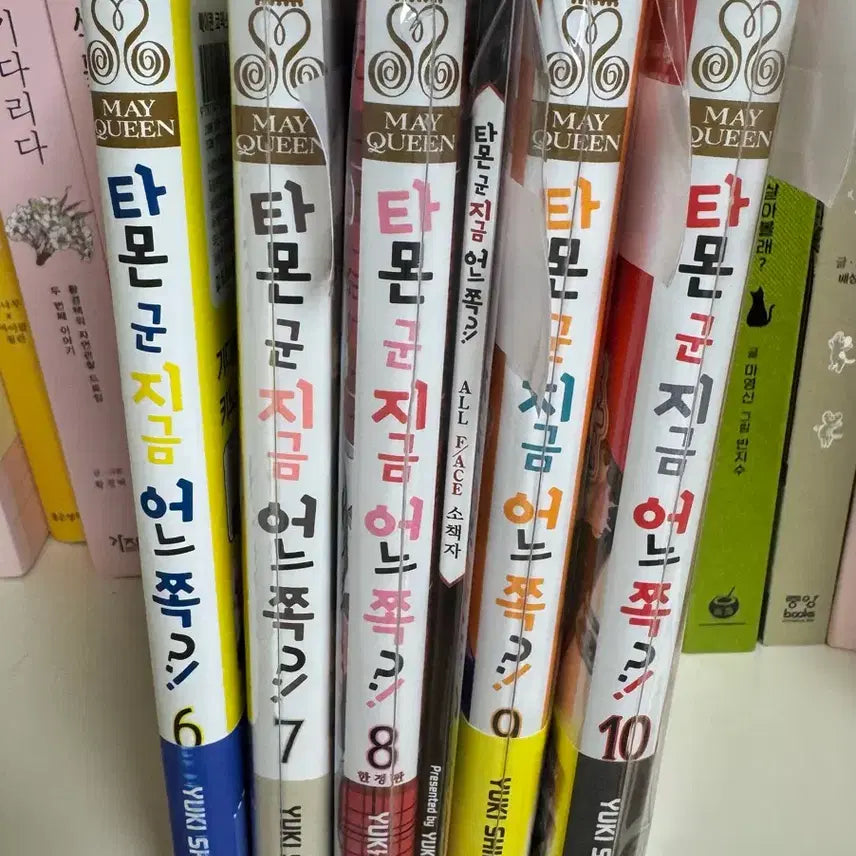 [BUNJANG] Tamon-kun, Which Way Are You Going?! Volume 6-10 (Limited Edition Included) Bundle Set / 타몬군 지금 어느 쪽?! 8권 한정판 포함 6권-10권 총5권 판매