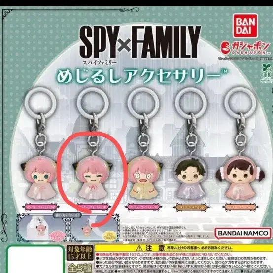 [BUNJANG] Spy x Family Anya Majirushi / 스파이패밀리 아냐 메지루시