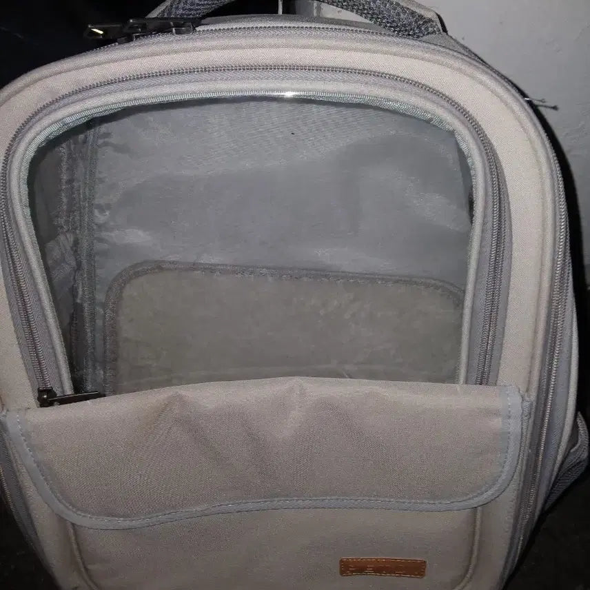 [BUNJANG] Transparent Window Backpack / 투명창 배낭