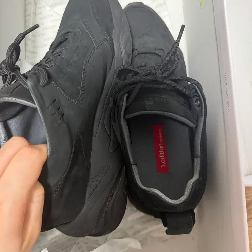 [BUNJANG] Geox Hiking/Trekking Shoes / 제옥스 운동화