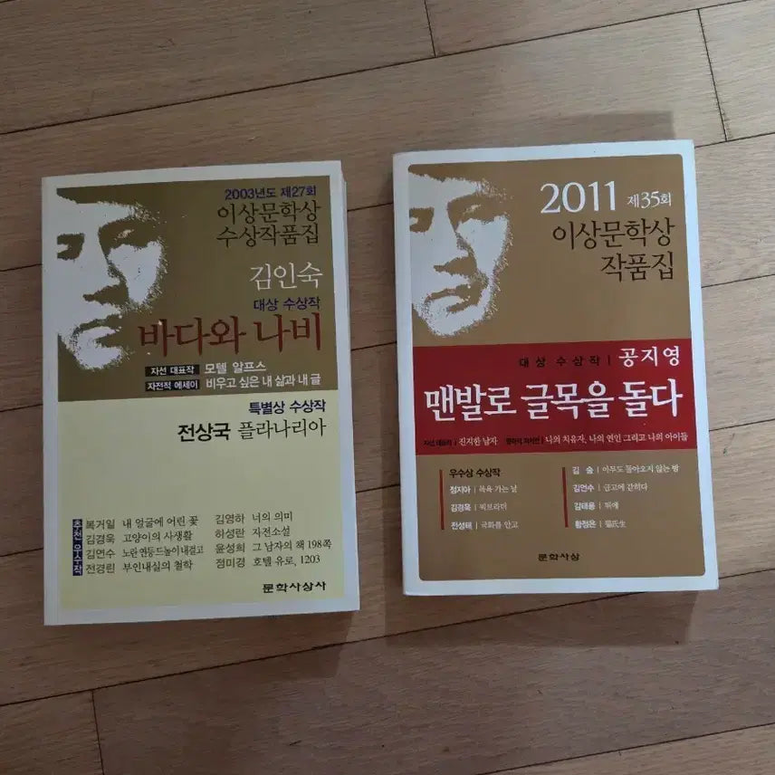 [BUNJANG] Kim In-sook 'Sea and Butterfly' & Gong Ji-young 'Walking Through the Alley Barefoot' - Yi Sang Literary Award Winners Collection / 김인숙 바다와 나비 / 공지영 맨발로 글목을 돌다 이상문학상 수상작품집