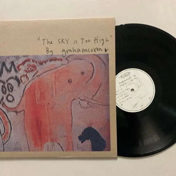 [BUNJANG] Graham Coxon The Sky Is Too High LP / Graham Coxon - The Sky Is Too High LP