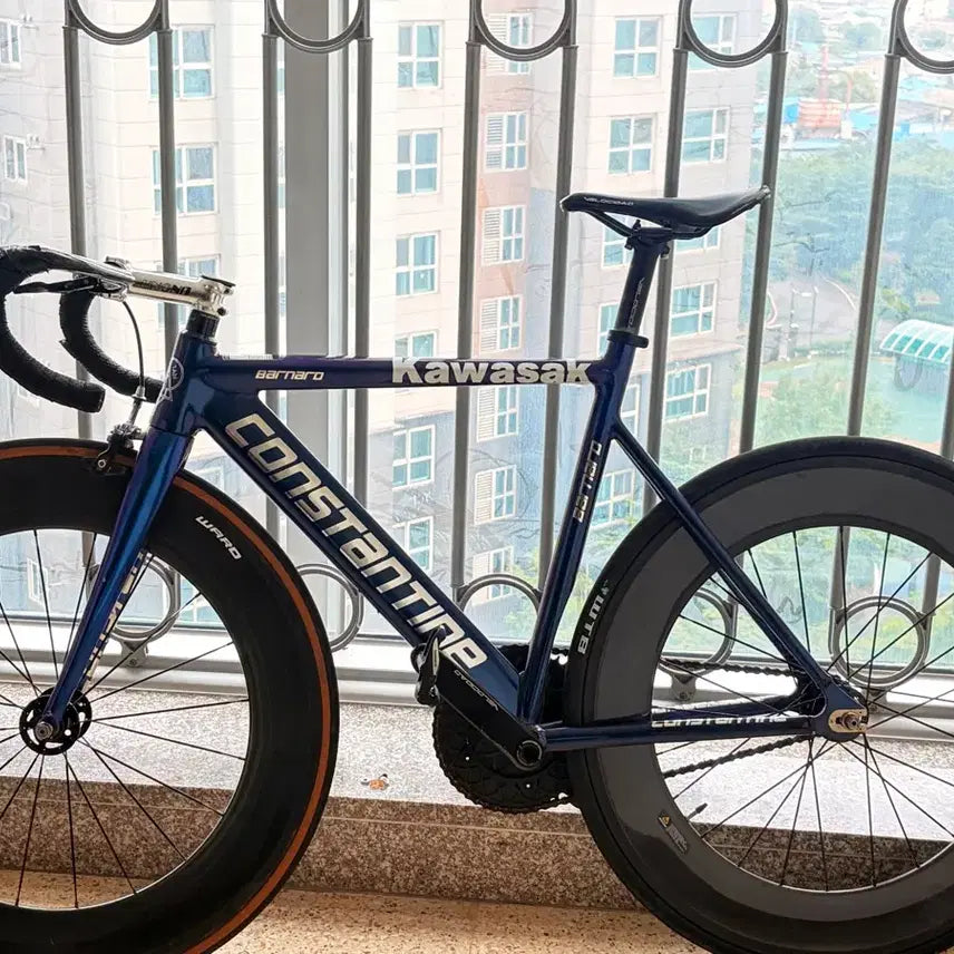 [BUNJANG] Constantin 2024 Burned Chameleon Bicycle / 콘스탄틴 2024년 버니드 카멜레온