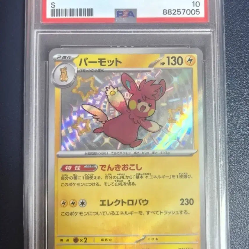 [BUNJANG] Pokemon Palworld Shiny Special Rare Card PSA 10 / PSA10 일본판 빠르모트 샤이니 이로치