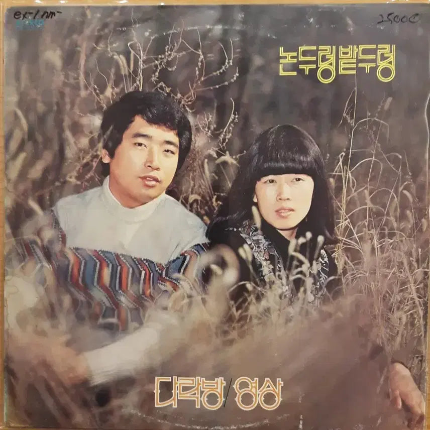 [BUNJANG] Nondoong Field Boong LP / 논두렁 밭두렁 lp