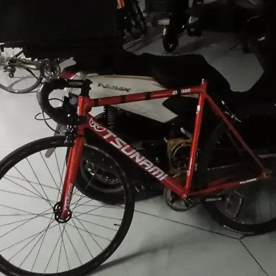 [BUNJANG] Sugino Zen 48T Track Bike Frame / 레드와인쓰나미 레드와인 팔아요 스기노젠 48t