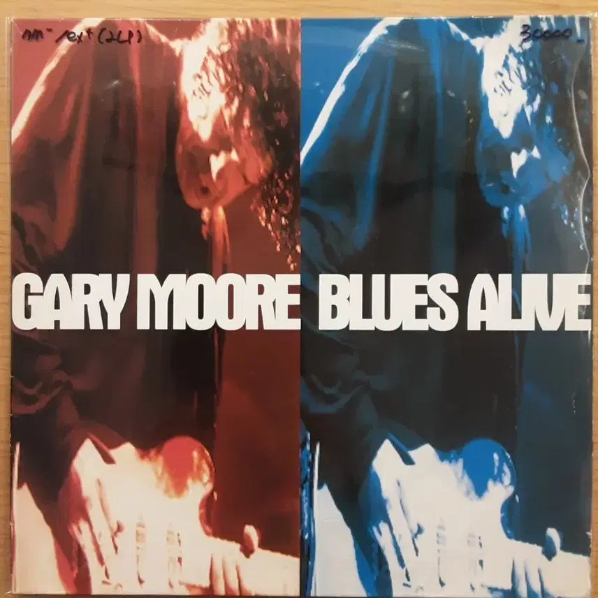 [BUNJANG] Gary Moore 2LP Vinyl Record / Gary moore 2lp