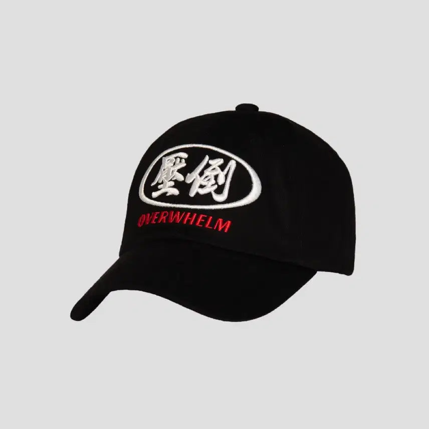 [BUNJANG] APDO Main Circular Logo Ball Cap (New) / 압도 메인원형 모자 볼캡 새상품