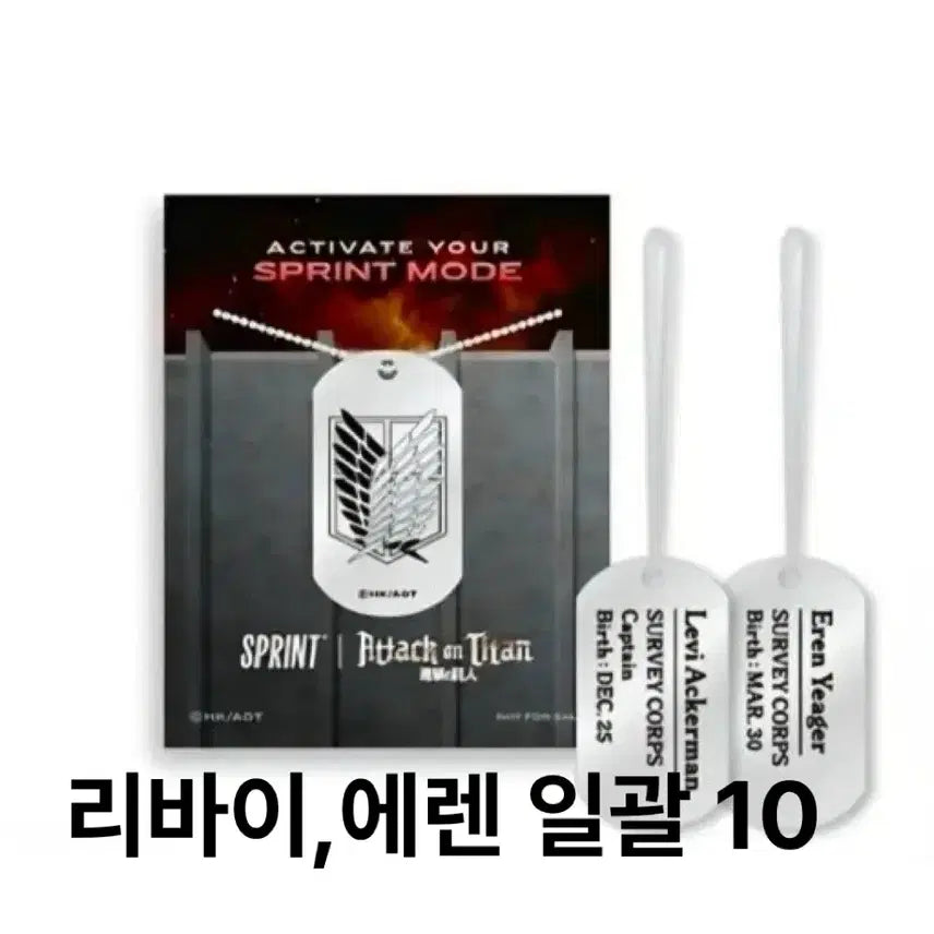 [BUNJANG] Attack on Titan x GS25 Collaboration Levi & Eren Dog Tag Keychain / 진격의 거인XGS스프린트 이벤트 콜라보 리바이,에렌 군번줄 키링 굿즈