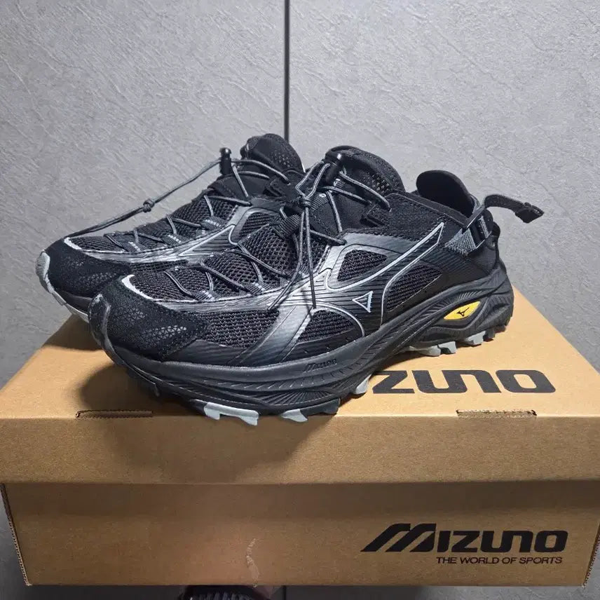 [BUNJANG] Mizuno Wave Rebellion Flash 2 Men's Running Shoes / 미즈노 레이서 트레일 250