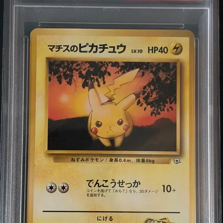 [BUNJANG] Matisse Pikachu PSA 8 Graded Card / 마티스의 피카츄 psa 8 등급 팝니다.