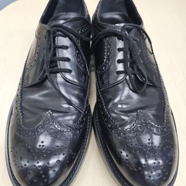 [BUNJANG] Tod's Black Leather Wingtip Brogue Derby Shoes UK 6.5 / 토즈(Tod's) 블랙 레더 윙팁 더비 슈즈 (UK 6.5 / 255~260)