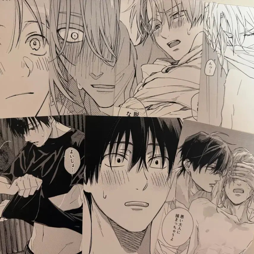 [BUNJANG] Tashiro Naranu Sukyun TuniQ Special Postcard / 타시로 너란 녀석은 투니크 특전엽서