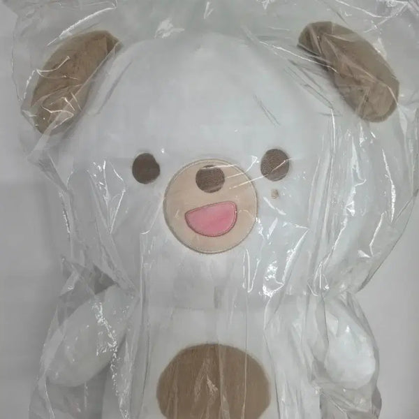 [BUNJANG] DAY6 Giant Petit Merz DON Photocard Set / 데이식스 자이언트 쁘띠멀즈 자쁘멀 돈