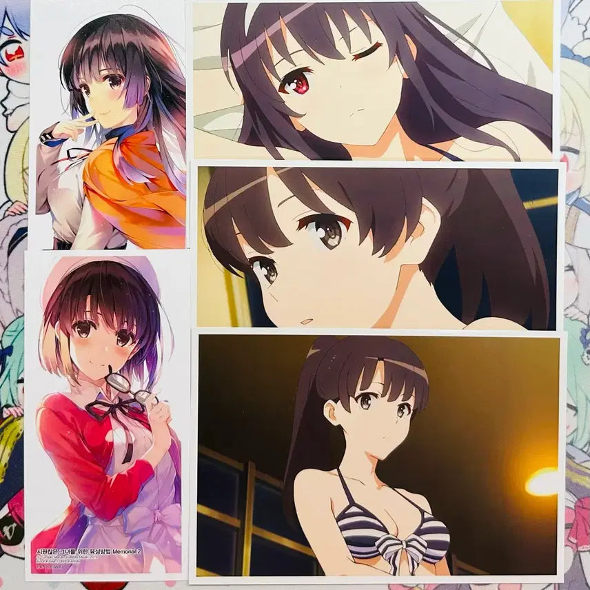 [BUNJANG] Saekano Kato Megumi & Utaha Photocard Bundle Set / 사에카노 카토메구미/우타하 포토카드 일괄세트