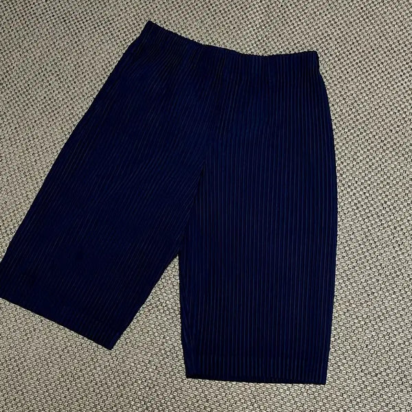 [BUNJANG] Issey Miyake Homme Plissé Shorts Navy Size 2 / [백화점판] 옴므플리세 이세이미야케 반바지 2