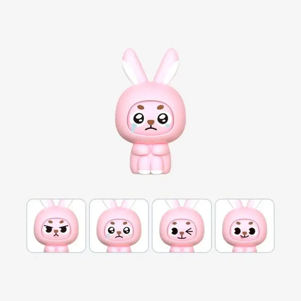 [BUNJANG] DAY6 Wonpil Face Figure Danimals Solo Concert MD / 원필 페이스피규어 데니멀즈 솔로 콘서트 md